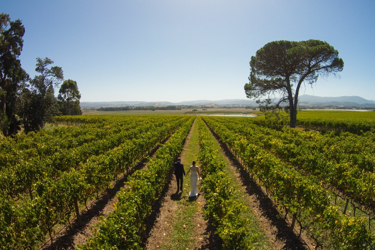 best yarra valley wedding venue stones of the yarra valley