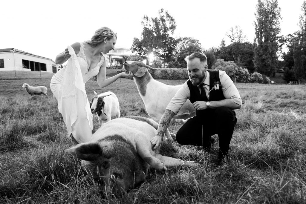 Flowerdale Estate Yarra Valley Wedding Venues