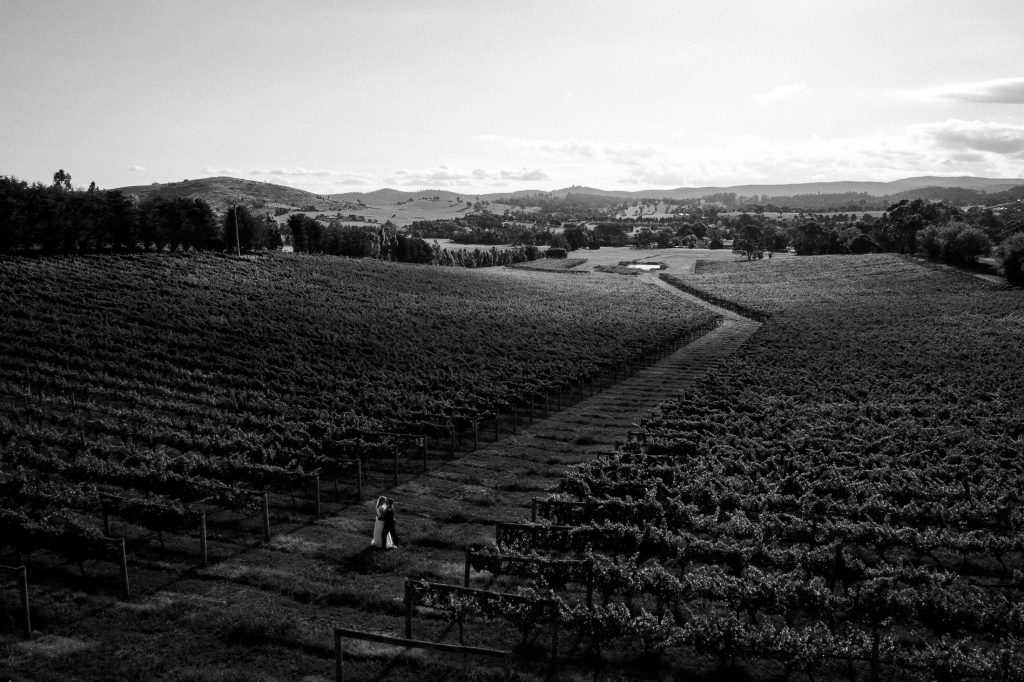 Immerse Yarra Valley Wedding Photography