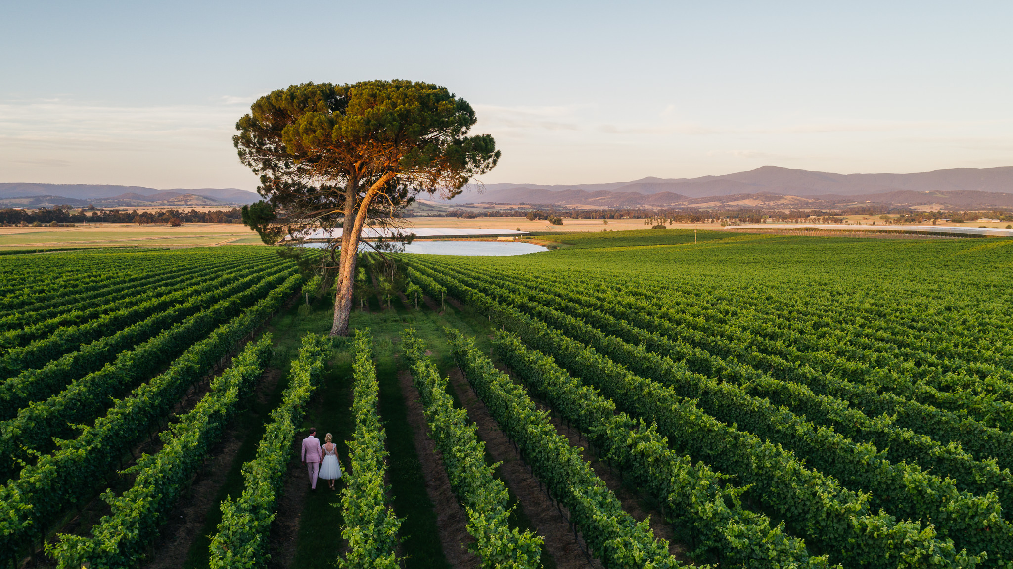 Yarra Valley Wedding Venues